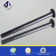 Long Flat head square neck screw